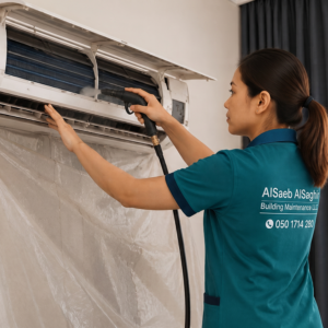 Basic AC Cleaning