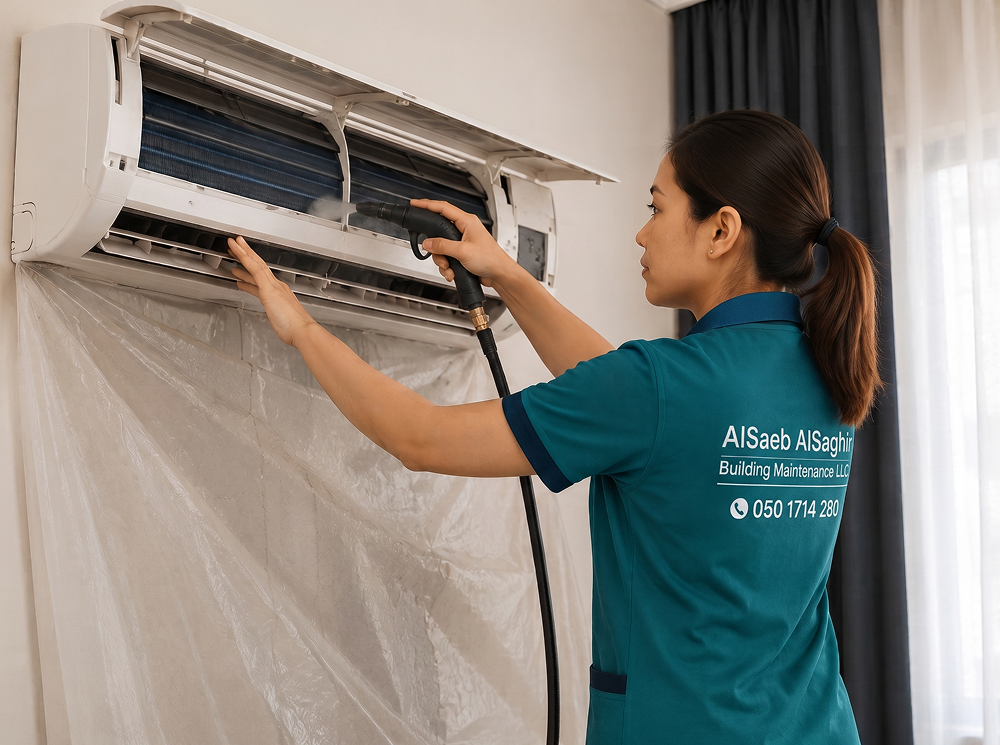 Basic AC Cleaning